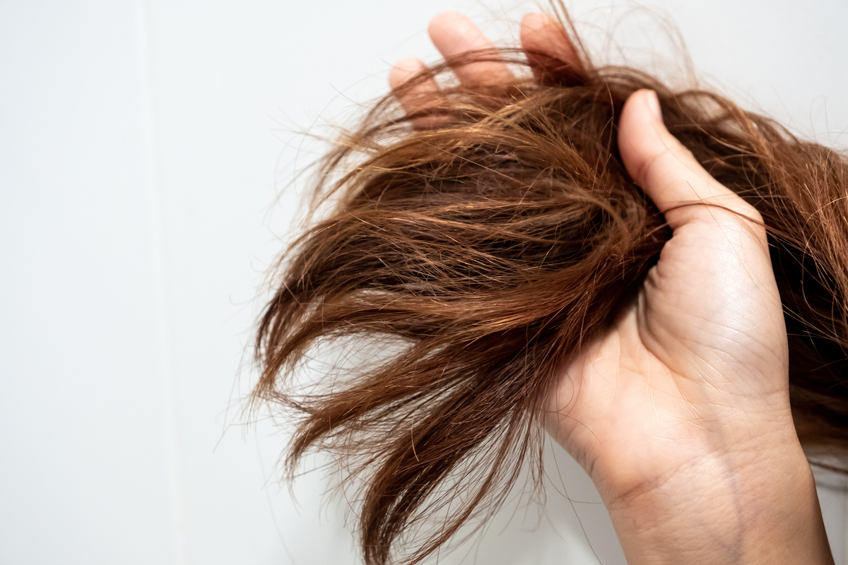 Las puntas abiertas afectan la apariencia de nuestro cabello, pero pueden evitarse con estos productos
