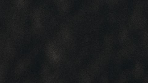 Foto del logo de Ford dispuesto sobre un volante