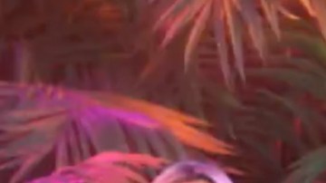 Elenco de la cuarta temporada de 'The Real Housewives of Miami'.