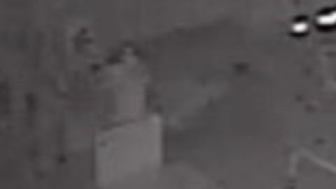 Captura del video.