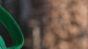 Foto de las manos de un conductor sobre el volante