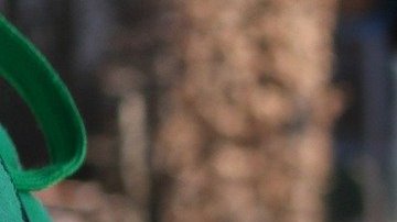 Foto de las manos de un conductor sobre el volante