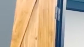 Aproximadamente viven en California 183,460 beneficiarios activos de DACA.