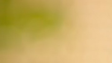 Vanessa Villela regresa a la TV con 'Selling Sunset' de Netflix.