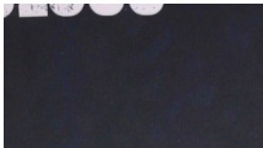 Ximena Duque presume orgullosa su lujosa mansión de Miami y sus autos de alta gama