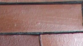 Daniela Alexis "La Bebeshita" | Mezcalent.