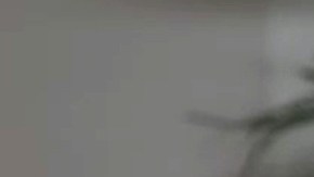 Video: Marlene Favela presume su tierna decoración navideña con tour por su casa