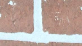 Arleth Terán | Mezcalent.