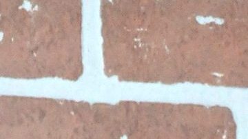 Arleth Terán | Mezcalent.