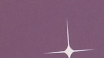 Adamari López | Mezcalent.