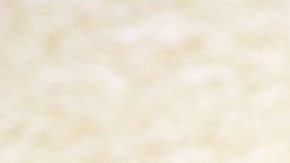 Camila Cabello | Mezcalent.