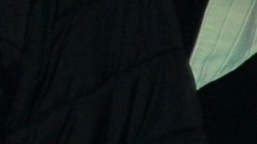 Silvia Pinal y Silvya Pasquel | Mezcalent.