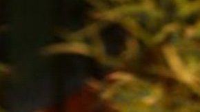 Octavio Ocaña tendría su serie | Mezcalent.