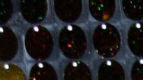 Lucía Méndez | Mezcalent.