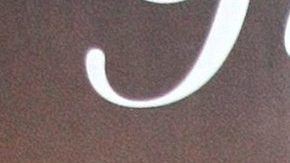 Diego Boneta | Mezcalent.