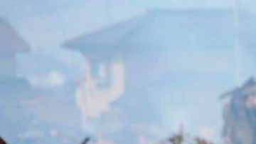 La investigación comenzó tras el devastador tsunami de 2011 en Japón, que envió toneladas de escombros al océano Pacífico.