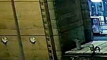 Recolectores de cocaína en acción filmados por las cámaras de seguridad del puerto de Rotterdam.