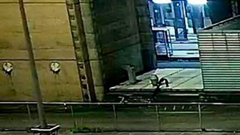Recolectores de cocaína en acción filmados por las cámaras de seguridad del puerto de Rotterdam.