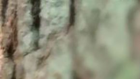 la dolorosa travesía de los cubanos atrapados en la crisis de migrantes de Bielorrusia y Polonia