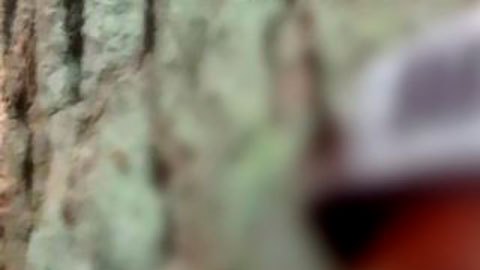 la dolorosa travesía de los cubanos atrapados en la crisis de migrantes de Bielorrusia y Polonia