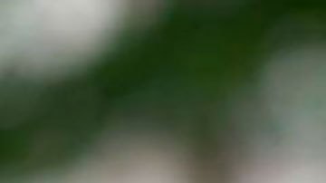 La profesora Sarah Gilbert aseguró en la 44ª Conferencia de Richard Dimbleby que es necesario contar con más fondos para pandemias