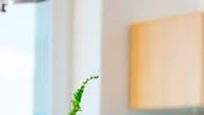 Better.com: la compañía de EE.UU. que despidió a 900 empleados