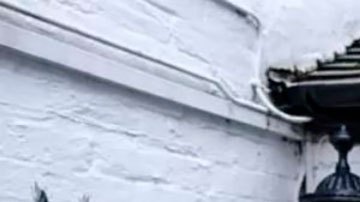 "Por qué cambié mi trabajo por uno en que me pagan menos"