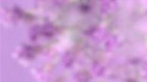 Covid: ¿de dónde viene la variante ómicron y por qué saber su origen es importante?