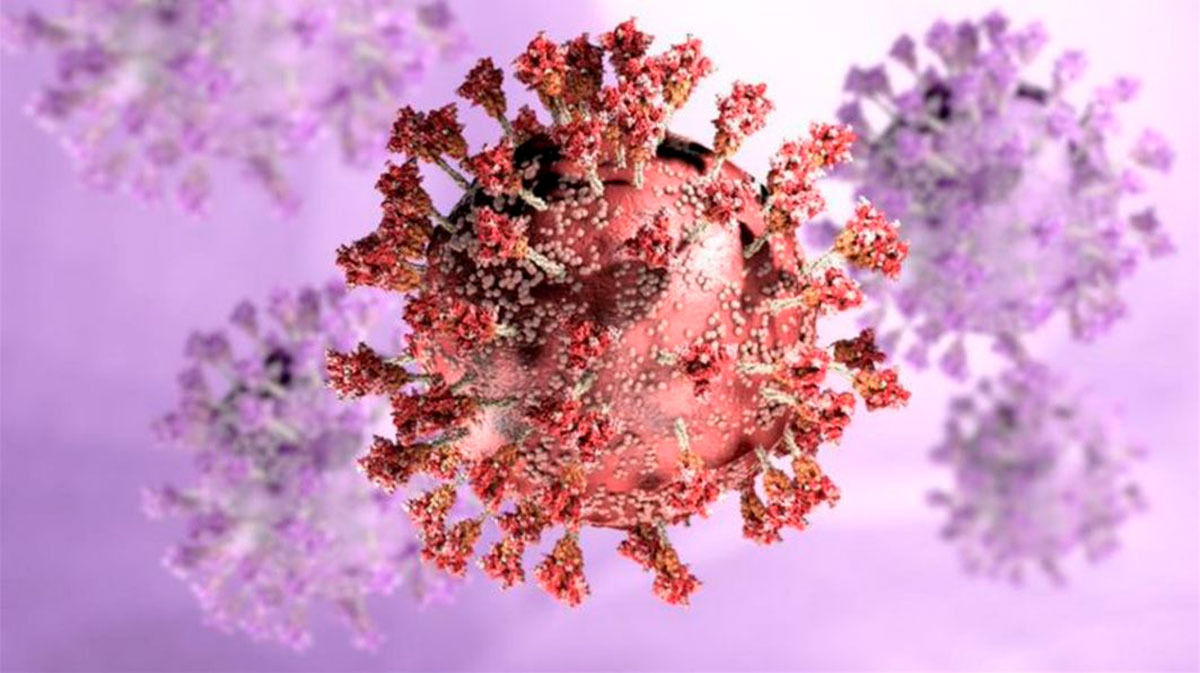 La variante Ómicron ha abierto un nuevo capítulo en la historia de la pandemia de covid-19.