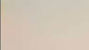 El día en que "Carlos el Chacal" y otros 5 asaltantes aterrorizaron la OPEP y tomaron a más de 60 rehenes