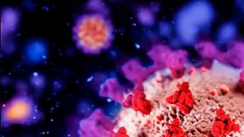 Covid: cómo actúa ómicron y cómo defendernos de esta nueva variante