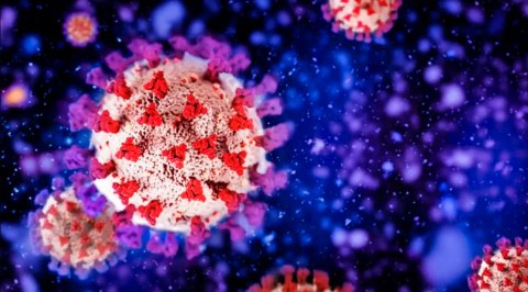 Covid: cómo actúa ómicron y cómo defendernos de esta nueva variante