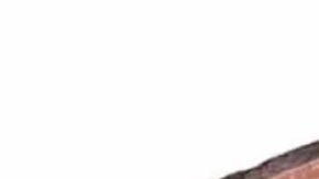 Hallan en China un embrión de dinosaurio perfectamente preservado