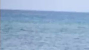 15 de las fotos más impactantes que dejó 2021