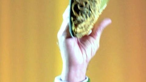 Vicente Fernández | Mezcalent.