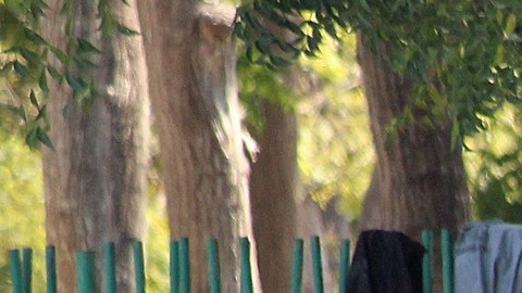 México entrega permisos de traslado a migrantes
