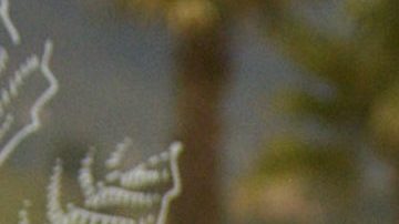 Dulce María | Mezcalent.