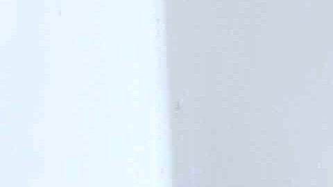 Carlos Bonavides | Mezcalent.