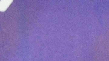 Galilea Montijo fue víctima de machismo | Mezcalent.