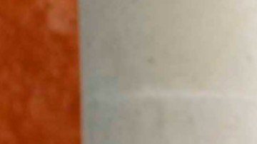 Andrea Legarreta | Mezcalent.