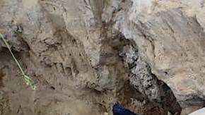 Restos de mamut son encontrados en un cementerio en Puebla, México.