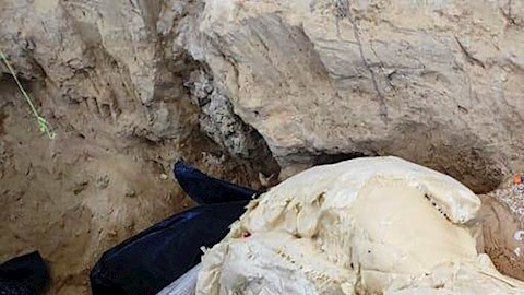 Restos de mamut son encontrados en un cementerio en Puebla, México.