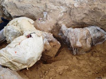 Restos de mamut son encontrados en un cementerio en Puebla, México.