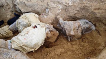 Restos de mamut son encontrados en un cementerio en Puebla, México.