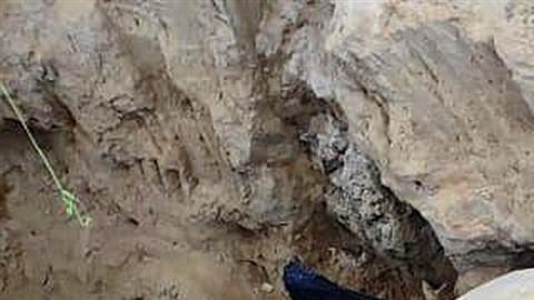 FOTOS: Encuentran restos de un mamut de hace más de 1,000 años en centro de México