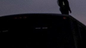 Caravana migrante llega a Ciudad de México tras enfrentamiento con policías y visita a la Basílica de Guadalupe