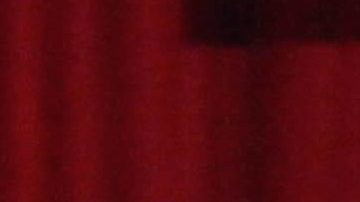 Calibre 50 | Mezcalent.