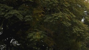 Migrantes marchan en Ciudad de México y exigen respeto a sus derechos humanos