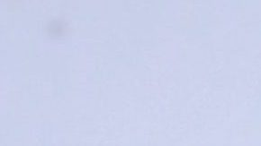 Aracely Arámbula | Mezcalent.