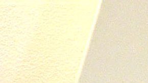 Carmen Salinas | Mezcalent.